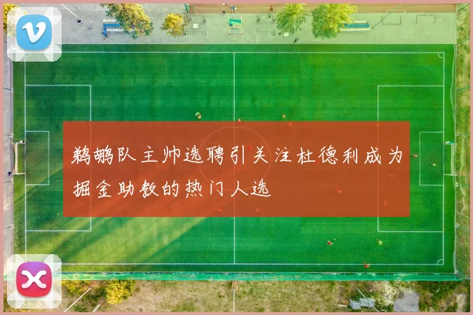 鹈鹕队主帅选聘引关注杜德利成为掘金助教的热门人选