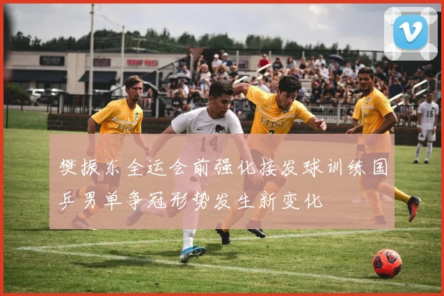 樊振东全运会前强化接发球训练国乒男单争冠形势发生新变化
