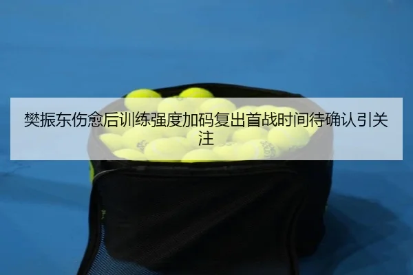 樊振东伤愈后训练强度加码复出首战时间待确认引关注